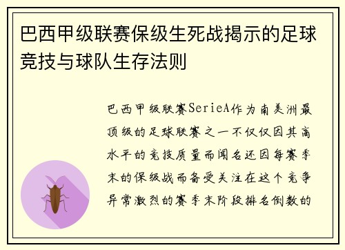 巴西甲级联赛保级生死战揭示的足球竞技与球队生存法则