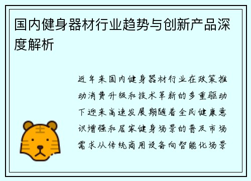 国内健身器材行业趋势与创新产品深度解析