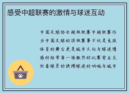 感受中超联赛的激情与球迷互动